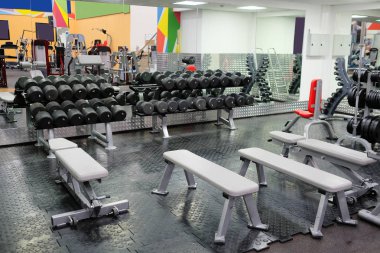 barbell bir stand