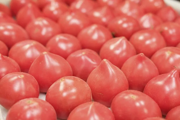 Tomaten aus nächster Nähe — Stockfoto