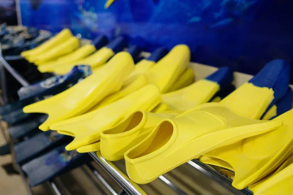 Flippers su uno stand in una piscina — Foto Stock