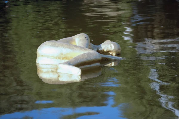 Fontane Floransa'daki Pitti Sarayı bahçesinde Yüzme heykel — Stok fotoğraf