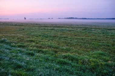 Görüntü ile yaz şafak manzara