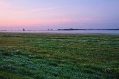Görüntü ile yaz şafak manzara