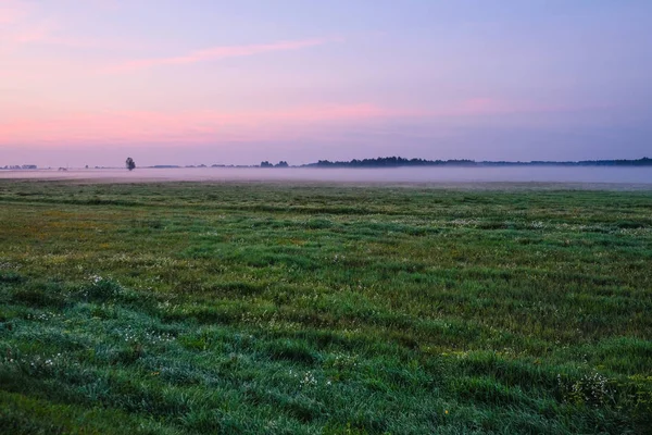 Görüntü ile yaz şafak manzara