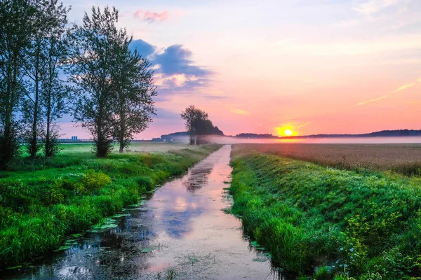 Paysage à l'image de l'aube estivale — Photo