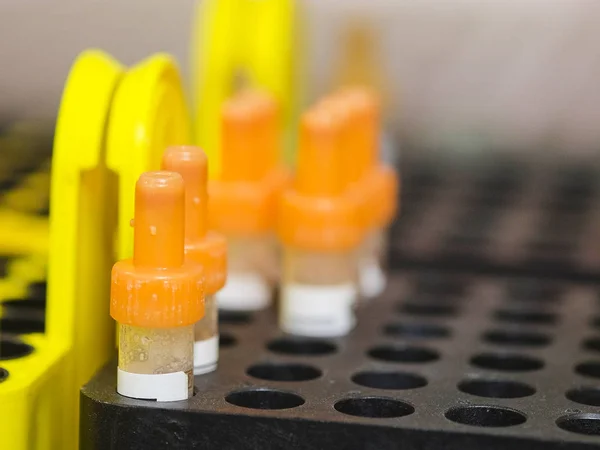 Test-tubes in a lab — Stock Photo, Image