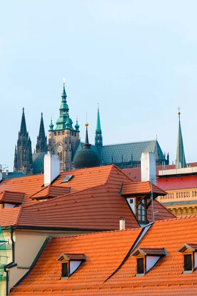 プラハ チェコ 2017 プラハの聖ヴィータ大聖堂に表示します — ストック写真
