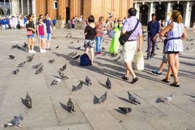 Venice, İtalya - 29 Haziran 2017: St Mark Meydanı Venedik