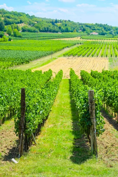 Country Landscape North Italia — Stock Photo, Image