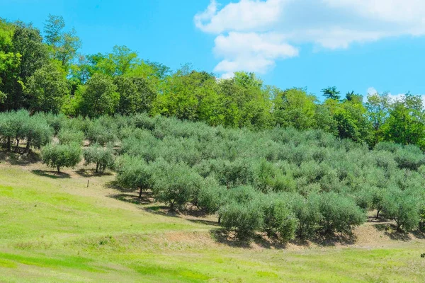 Landschappen Van Noord Italia — Stockfoto