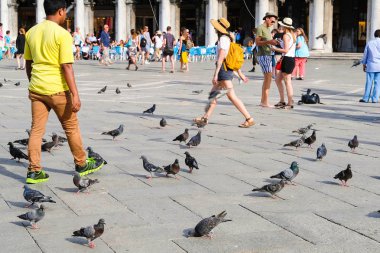 Venice, İtalya - 29 Haziran 2017: St Mark Meydanı Venedik