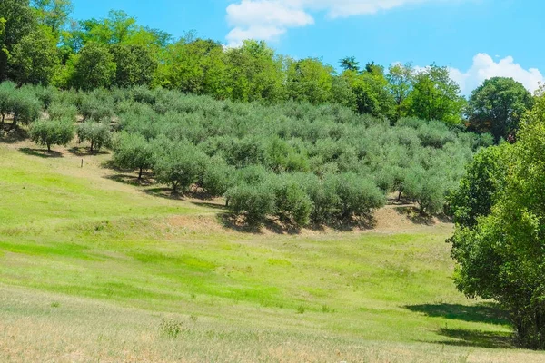 Landschappen Van Noord Italia — Stockfoto