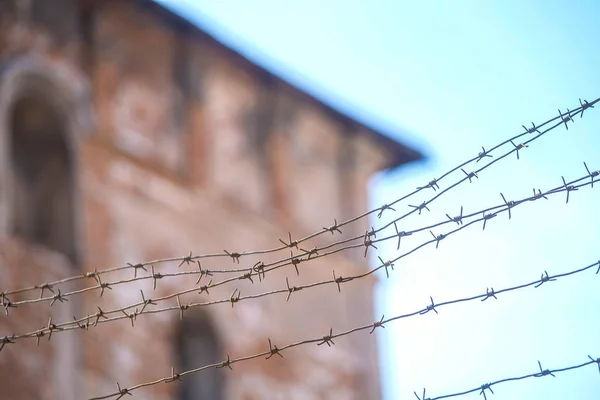 Image Barbed Wire — Stock Photo, Image