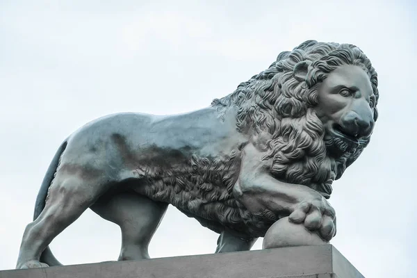 Sculpture Lion Bronze Sur Remblai Amirauté Saint Pétersbourg — Photo