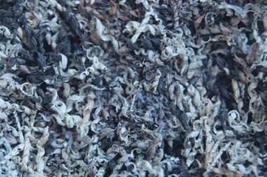 Kalem talaş arka plan