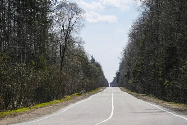 Landschaft Mit Dem Bild Einer Leeren Waldstraße — Stockfoto