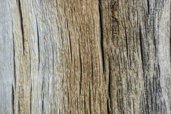 Tło Wizerunkiem Drewniane Tekstury — Zdjęcie stockowe