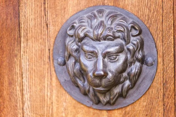 狮子的头在前门的图像 — 图库照片