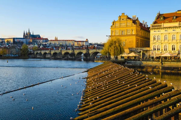 Paisaje Con Primer Plano Del Río Moldava Praga Atardecer — Foto de Stock