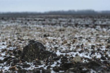 Donmuş bir alanın resmi