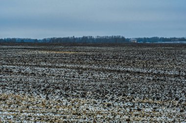 Donmuş bir alanın resmi