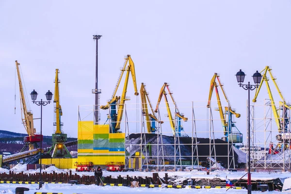 Murmansk Ryssland Januari 2020 Icke Frysning Hamn Staden Murmansk Vintern — Stockfoto