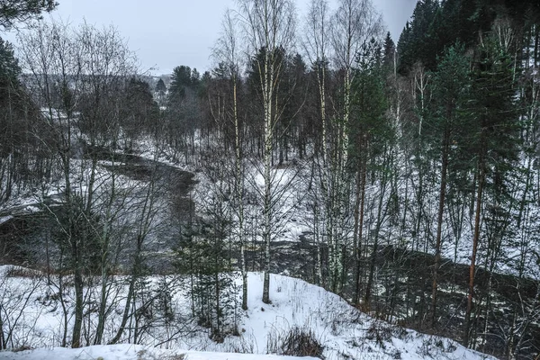Paisaje Con Imagen Naturaleza Kareliana Invierno — Foto de Stock