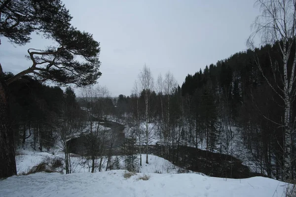 Landschaft Mit Dem Bild Der Winterlichen Karelischen Natur — Stockfoto