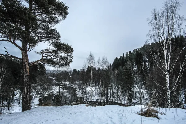 Landschaft Mit Dem Bild Der Winterlichen Karelischen Natur — Stockfoto