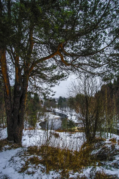 Paysage Image Nature Carélienne Hivernale — Photo