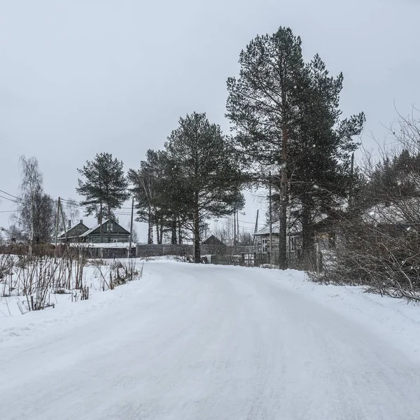 Пейзаж Изображением Сельской Дороги Карелии Зимой — стоковое фото