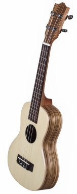 Hawai gitar