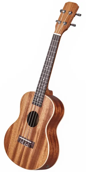 Guitarra havaiana — Fotografia de Stock