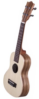 Hawai gitar