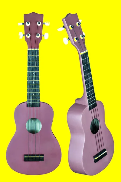 Guitarra hawaiana — Foto de Stock