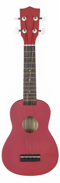 Guitarra hawaiana — Foto de Stock