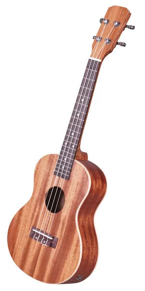 Hawaiian guitar — Stock Photo, Image