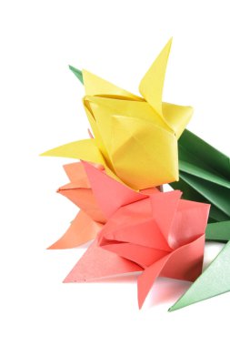 Origami lalesi beyaz arkaplanda izole edildi