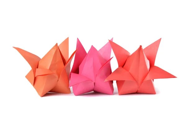 Origami Tulpan Över Vit — Stockfoto