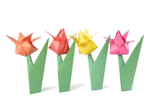 Origami Tulp Geïsoleerd Witte Achtergrond — Stockfoto