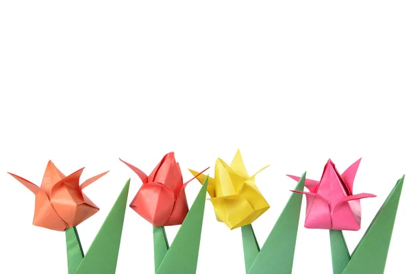 Origami Tulpan Isolerad Över Vit Bakgrund — Stockfoto