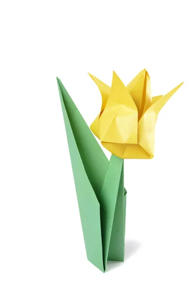 Origami Tulp Geïsoleerd Witte Achtergrond — Stockfoto