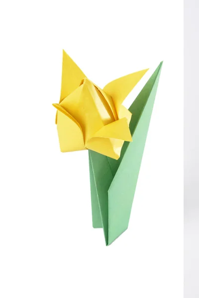 Origami Tulipa Isolada Sobre Fundo Branco — Fotografia de Stock