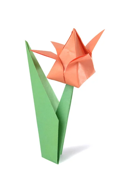 Origami Lalesi Beyaz Arkaplanda Izole Edildi — Stok fotoğraf