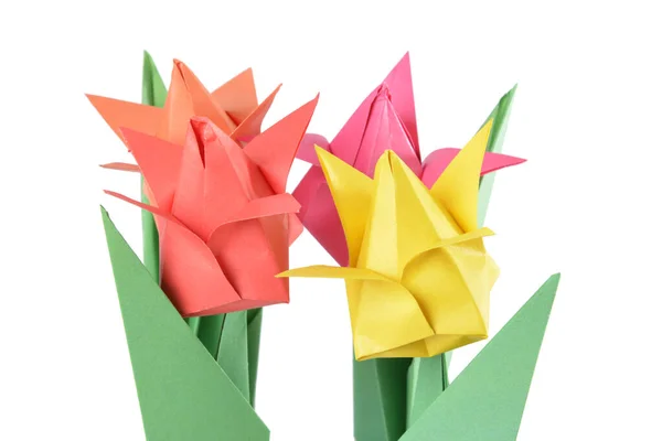 Origami Tulipán Aislado Sobre Fondo Blanco —  Fotos de Stock