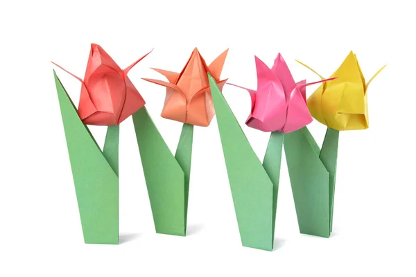 Origami Tulipe Isolée Sur Fond Blanc — Photo