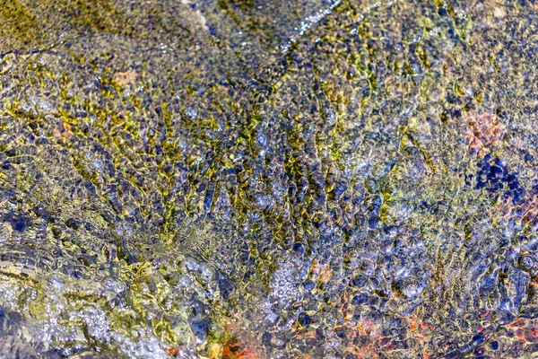 Яркие цветные камни со дна моря — стоковое фото