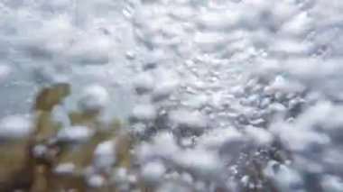 Kabarcıklar su altında. Yüzeye yükselen kabarcıklar.