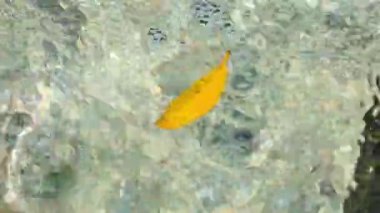 Açık su akan ve dalga nehir yatak taştan çevresinde görünümünü kapatın. Döngü