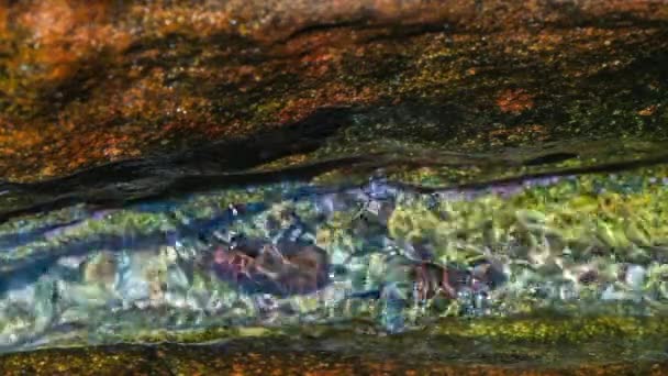 Close-up van vloeiende helder water en Golf rond de steen van de rivierbedding. Loop — Stockvideo