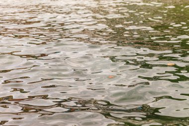 Deniz dalgası yakın, alçak açı görünümü